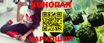apvp Рыбинск