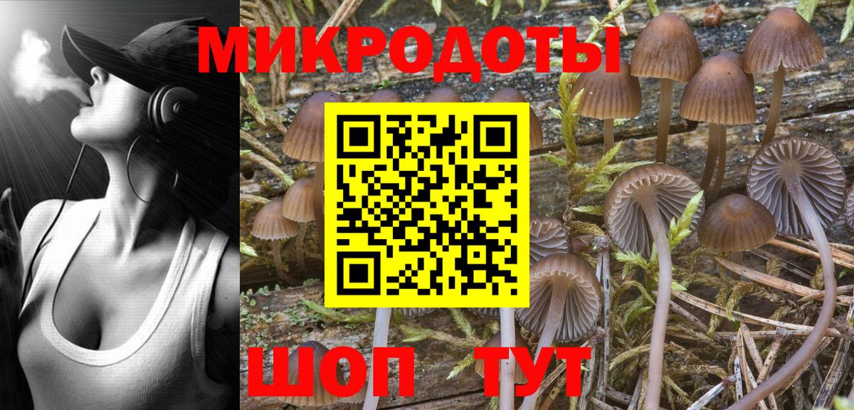 Отрадный  Галлюциногенные грибы ЛСД  Галлюциногенные грибы Magic Shrooms  Вход с VPN 