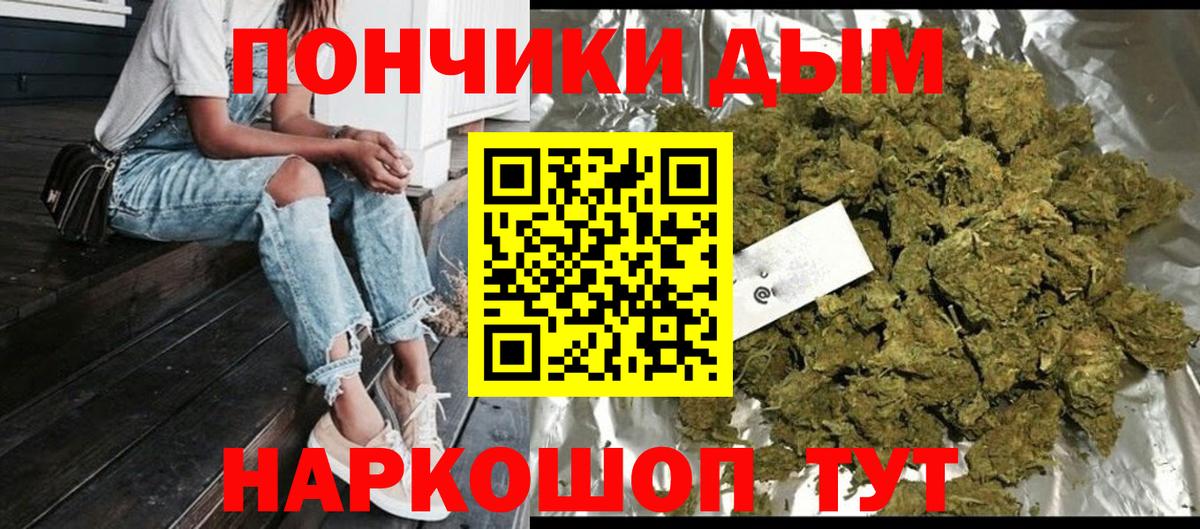 Каннабис конопля Отрадный